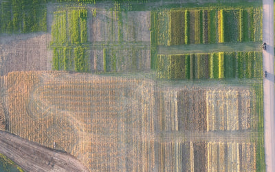 An Overview of Green Cover's 2025 Cover Crop Test Plots