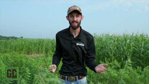 See 100+ Cover Crops in Your Hands: Field Day in Bladen, Nebraska