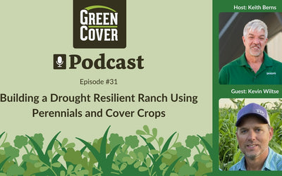 How Kevin Wiltse Built a Drought-Proof Grazing Operation with Perennials and Cover Crops