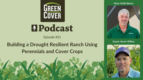 How Kevin Wiltse Built a Drought-Proof Grazing Operation with Perennials and Cover Crops