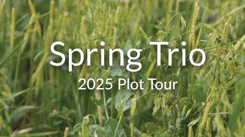 Spring Trio Mix: Oats, Barley & Peas for Fast Spring Growth