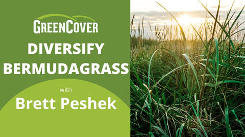 Overseed Bermudagrass with Legumes and Diverse Species