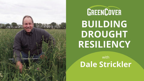 How to Feed Livestock During Drought: Practical Solutions from Dale Strickler