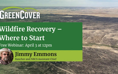 Rebuilding After Wildfire: Practical Recovery Steps for Ranchers