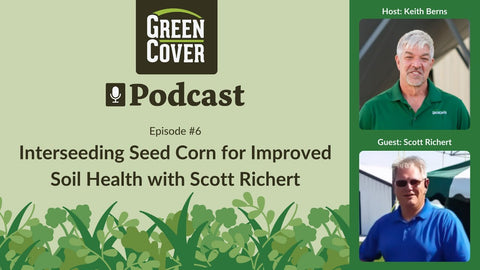 Corn Interseeding for Soil Health: Scott Richert's Real-World Approach