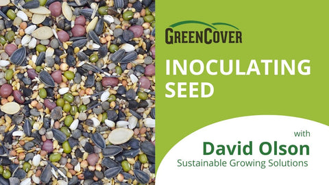 Seed Inoculation and Microbial Biology: What Microbes Do for Stand Establishment