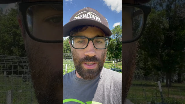 Foot Crimping Cover Crops in the Garden: Weed Control and Soil Building