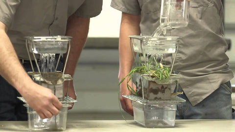 4th Grade Field Day: Kids Learn Cover Crops in the Field