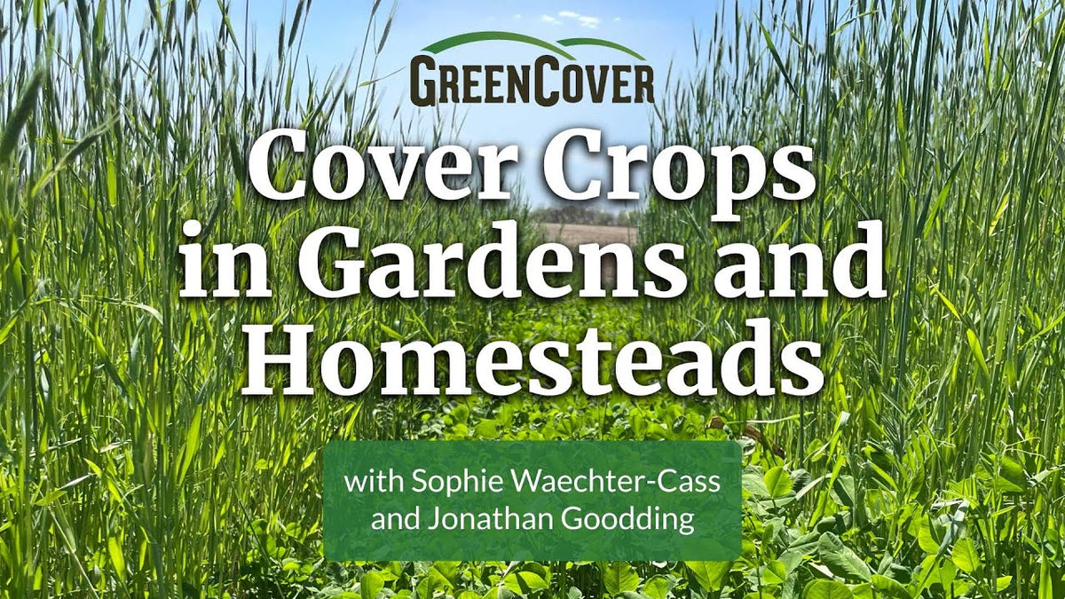 Growing Cover Crops in Home Gardens and Homesteads