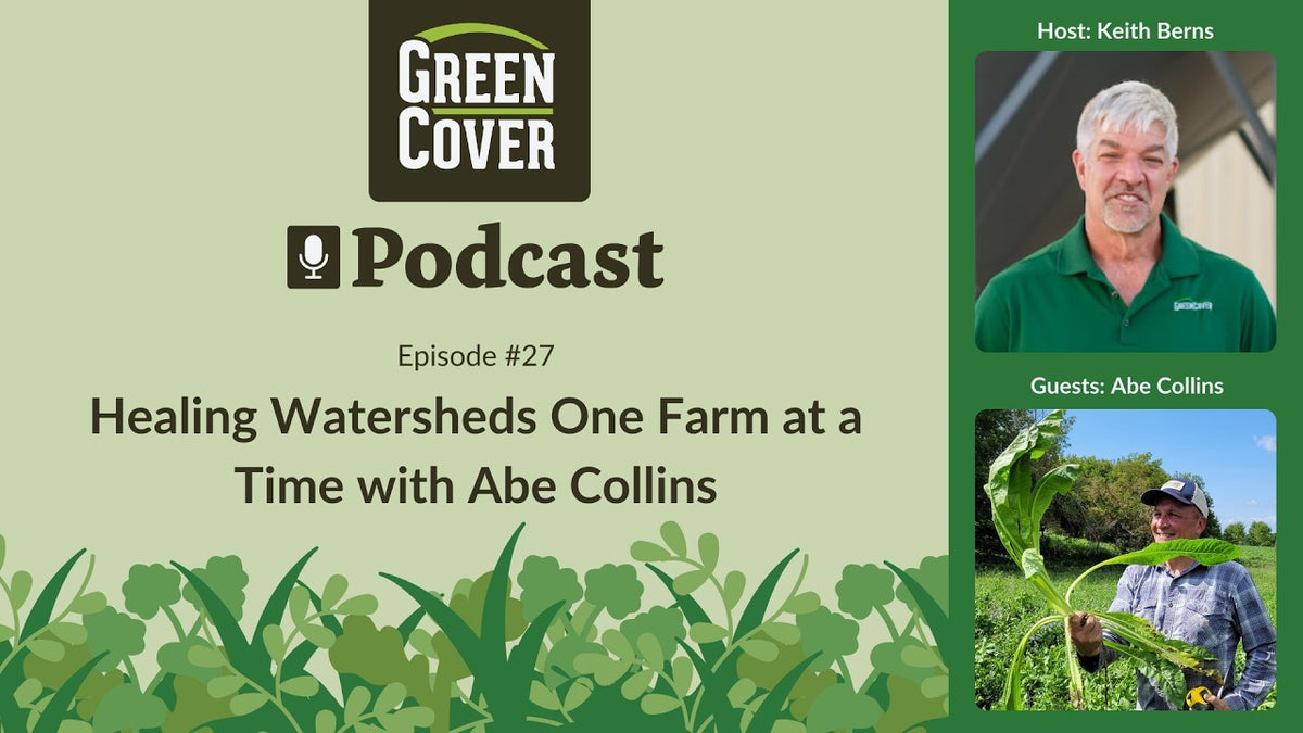 Healing Watersheds Through Deep-Rooted Diversity and Soil Biology