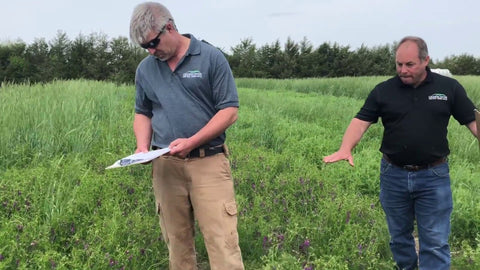 Hairy Vetch Varieties: AU Merit vs Montana Hairy Vetch