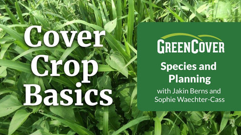 How to Choose Cover Crop Species for Your Goals