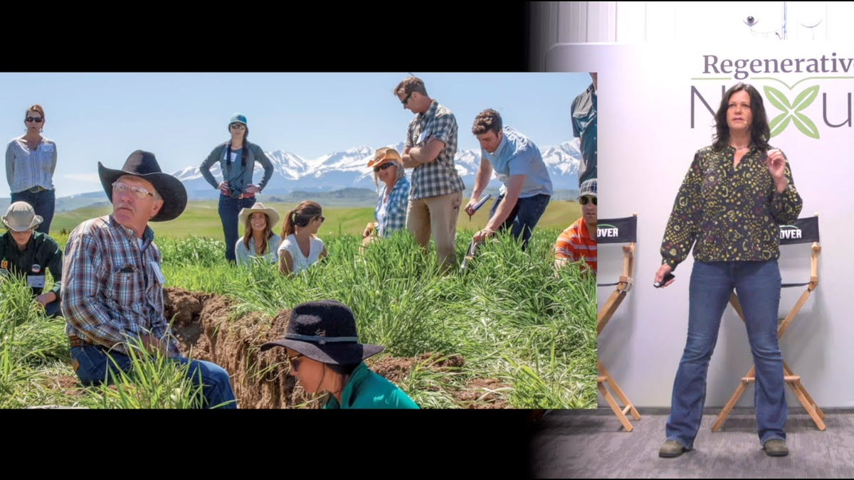 Bringing Biology Back to Soil: A Revolution in Agriculture