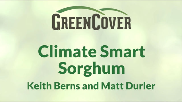 Climate Smart Sorghum: Cost-Share Grant for Sorghum Growers