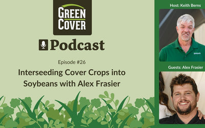 Interseeding Cover Crops into Soybeans: How Alex Frasier Boosted Yields and Cut Inputs