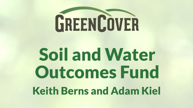 Get Paid for Soil and Water Outcomes with Cover Crops