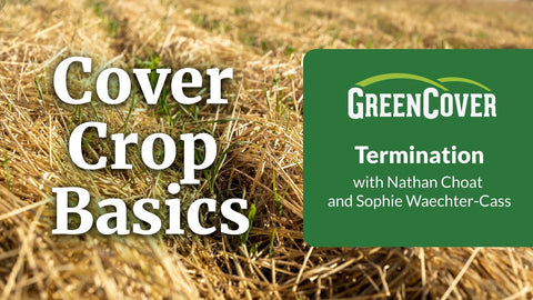 Cover Crop Termination Methods: Tillage, Herbicide, Mowing, Roller Crimping, and Frost Kill