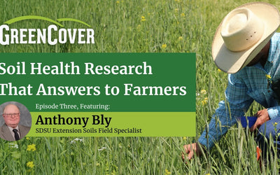 Cover Crop Nutrient Cycling in South Dakota: What Five Years of Research Actually Shows