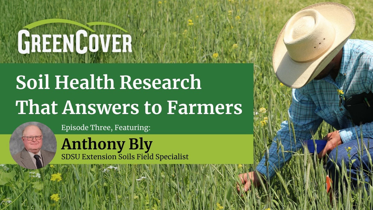 Cover Crop Nutrient Cycling in South Dakota: What Five Years of Research Actually Shows