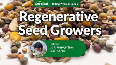 Non-GMO Corn Breeding for Regenerative Farms: Ed Baumgartner's 20-Year Journey