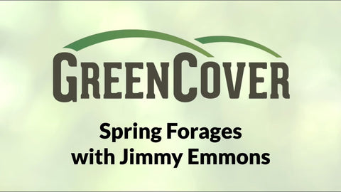 Spring Forage Mix vs. Grain: Jimmy Emmons Breaks Down the Numbers