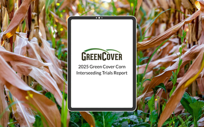 Our 2025 Corn Interseeding Trials Report is Here!