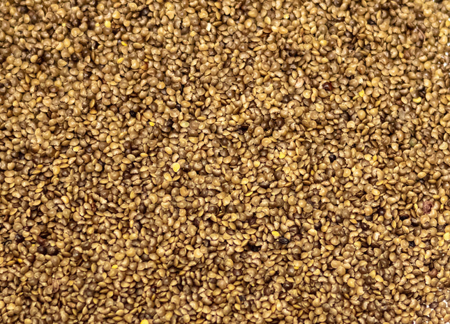 Aeschynomene (American Joint Vetch)