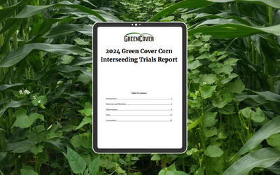 Corn Interseeding Report 2024