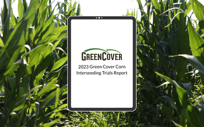 Corn Interseeding Report 2023