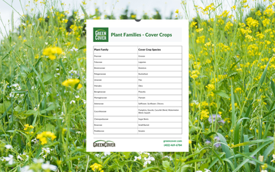 Cover Crop Plant Families Quick Reference Guide