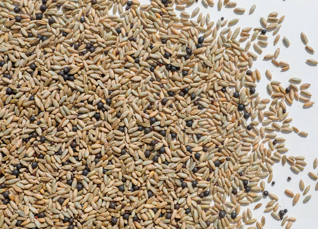 Winter Soil Armor