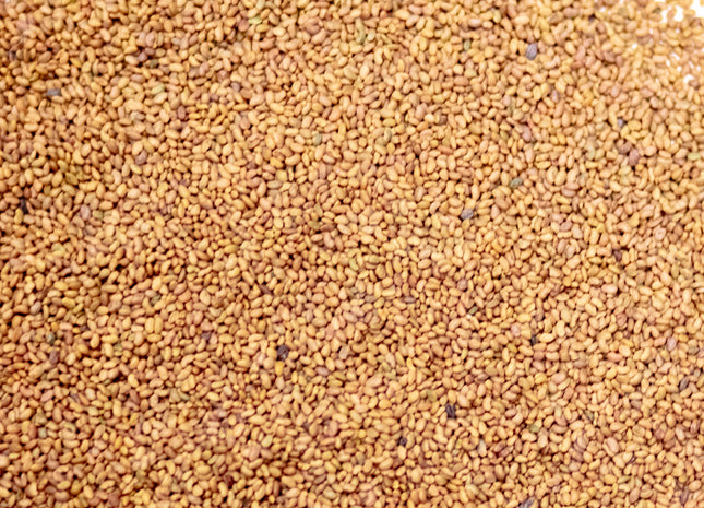 Alfalfa (MVS Majestic) - OMRI Inoculated