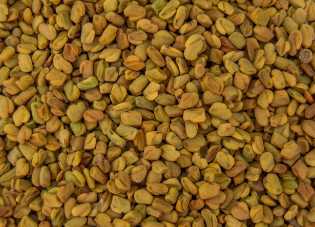 Fenugreek - OMRI Inoculated