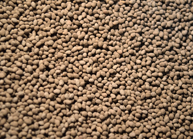 Red Clover (Blaze) - OMRI Inoculated