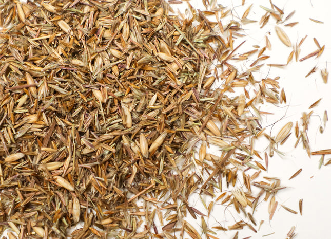 Osage Tallgrass Native Perennial Mix