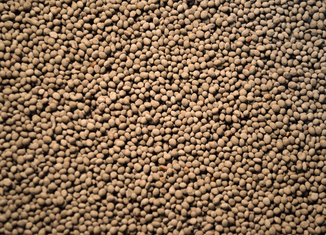 Persian Clover (eNhance) - OMRI Inoculated