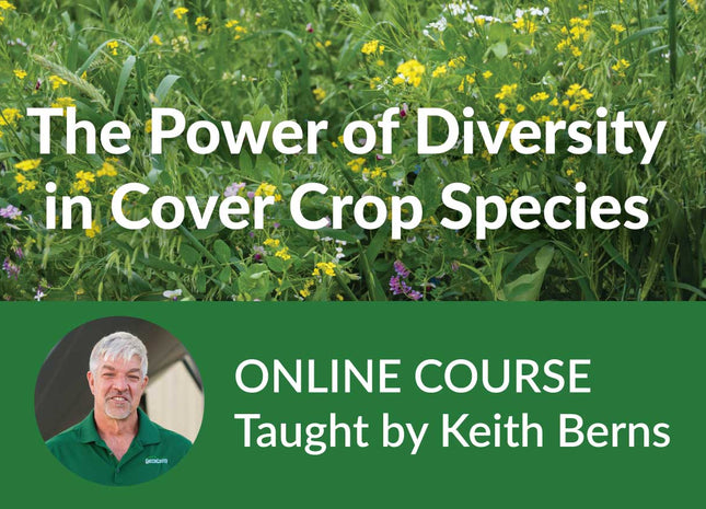 The Power of Diversity in Cover Crop Species - Online Course