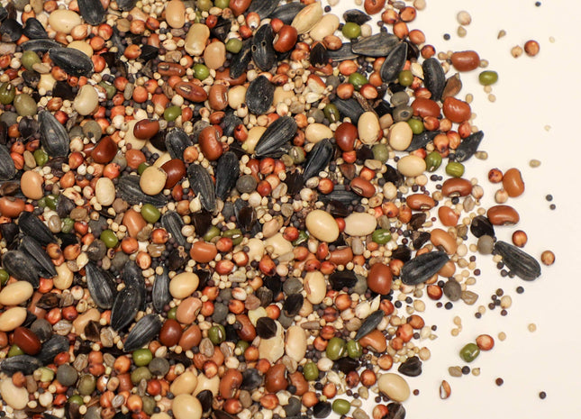 Warm Season Grazing Mix