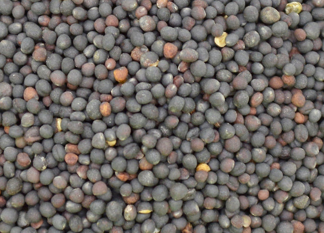 Rapeseed (Trophy)