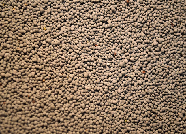 Alsike Clover - OMRI Inoculated