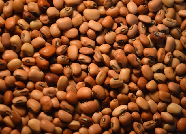 Cowpeas (Iron & Clay)