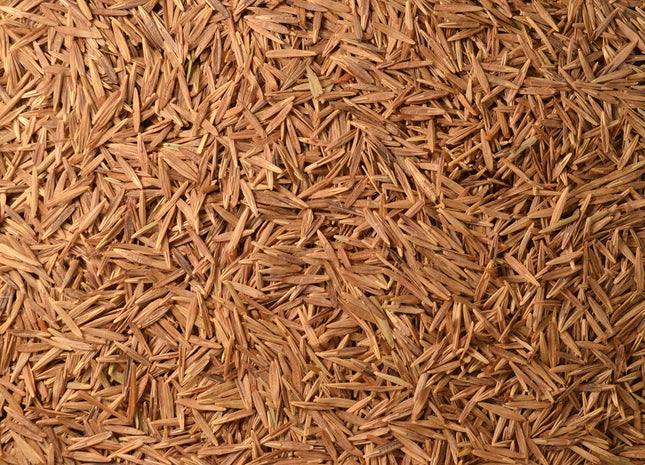 Meadow Brome (Champaign)