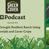 How Kevin Wiltse Built a Drought-Proof Grazing Operation with Perennials and Cover Crops
