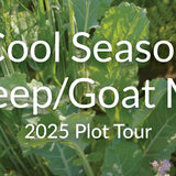 Cool Season Sheep and Goat Grazing Mix: Spring and Fall Forage