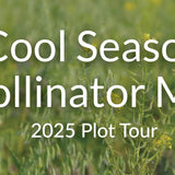 Cool Season Pollinator Mix: 15+ Flowers for Beneficial Insects