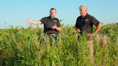 High Diversity Mix: Season-Long Cover Crop Blend