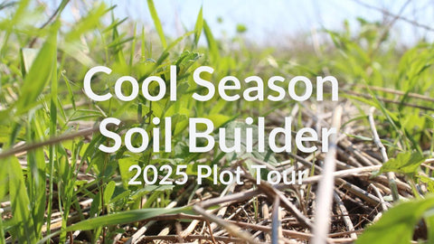 Cool Season Soil Builder Mix: What 11 Species Do for Your Soil
