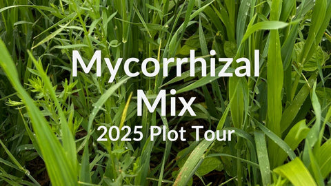 Mycorrhizal Mix: Building Fungal Populations in Your Soil