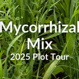 Mycorrhizal Mix: Building Fungal Populations in Your Soil