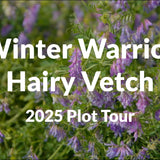 Winter Warrior Hairy Vetch: Cold-Hardy Nitrogen Production for Your Fields